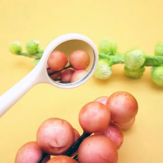 Dental Mouth Exam Reflector Disposable Mirrors Plastic Anti-Fog Lens